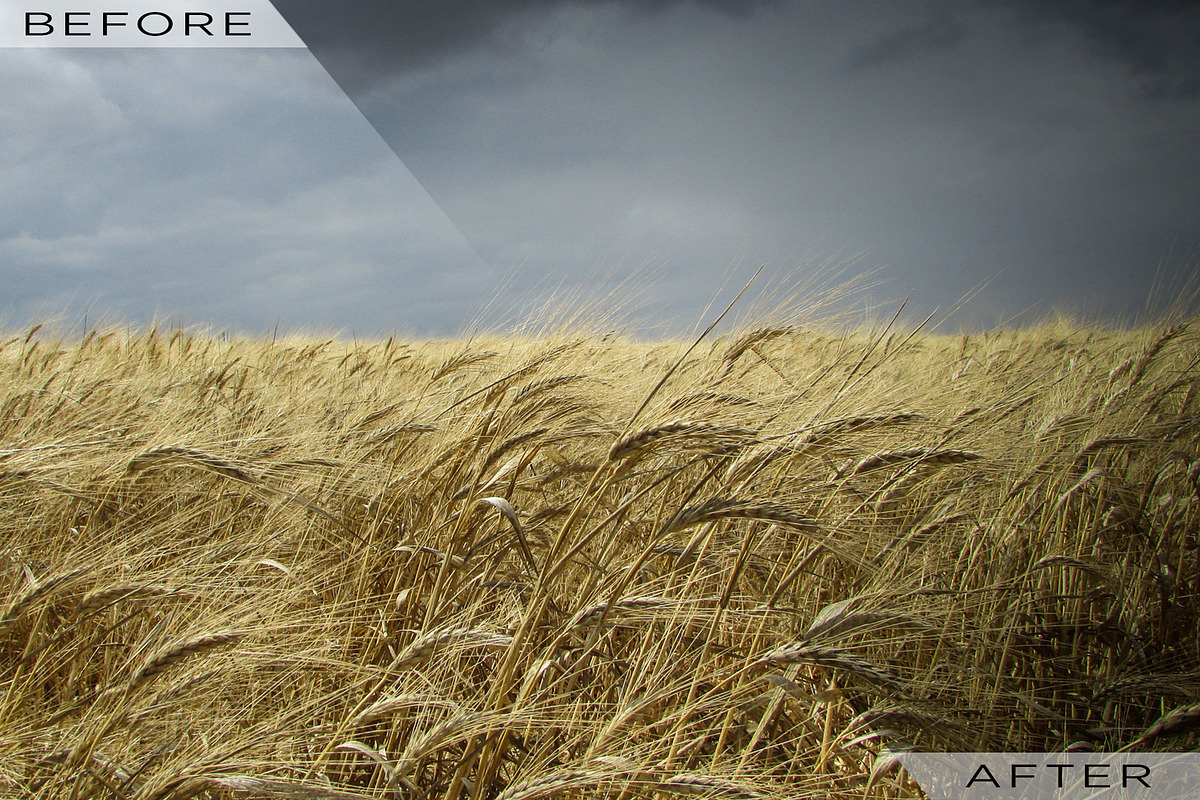 Vignettes Galore Lightroom Presets, an Action Add-On by Click Click Studio (Photo 3 of 5)