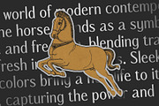 CS Lirane – Contemporary Font, a Sans Serif Font by Craft Supply Co. (Thumbnail 7 of 8)