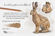 Next Level Watercolour Workshop, a Brush Add-On by SketchWerx (Thumbnail 4 of 21)