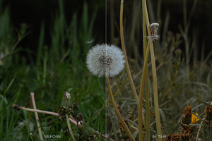 Caramel Film Desktop LR Presets