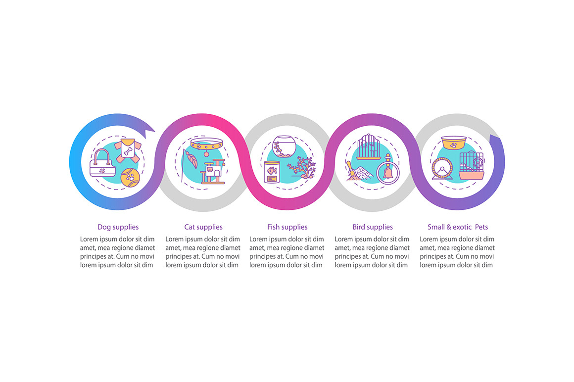 Pet store offers vector infographic, a Templates & Theme by IMG Visuals