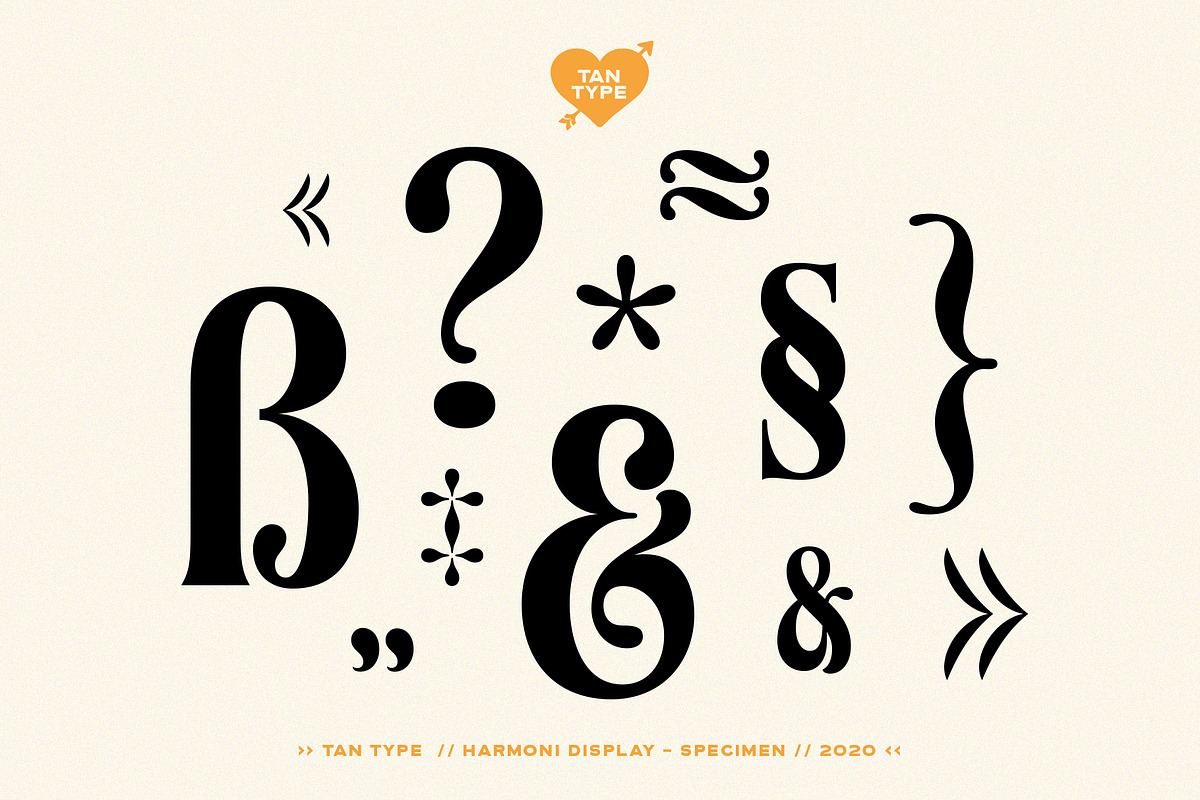 TAN - Harmoni, a Serif Font by TanType (Photo 10 of 19)