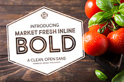 Market Fresh Inline Bold, a Font by Brittney Murphy Design (Thumbnail 1 of 2)