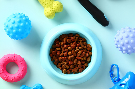 Flat lay pet toys, food and accessories on blue background