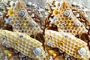 30 Honey LUT Collection, a Preset Add-On by 3Motional (Thumbnail 6 of 10)