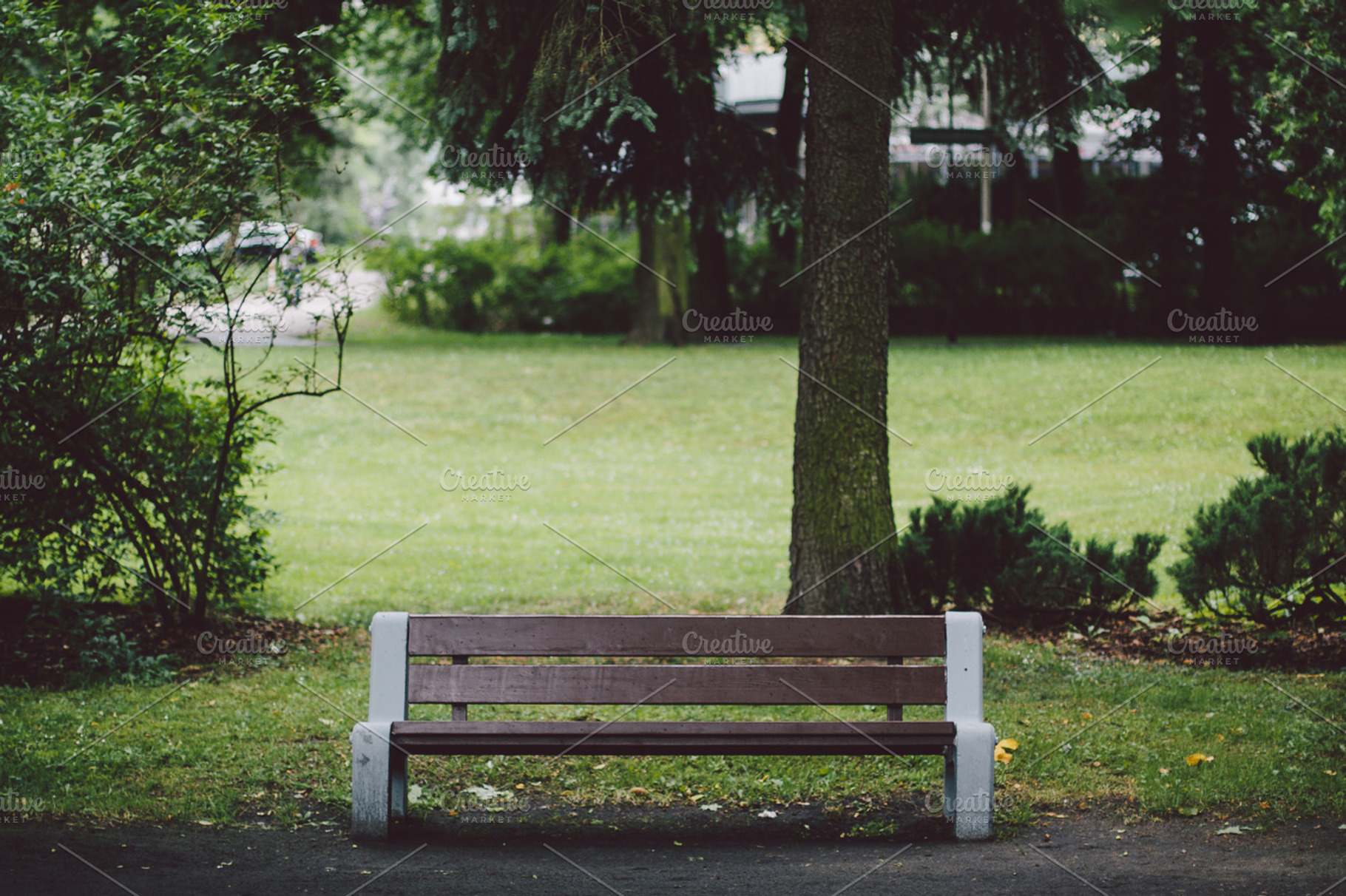 Bench In A Park 2