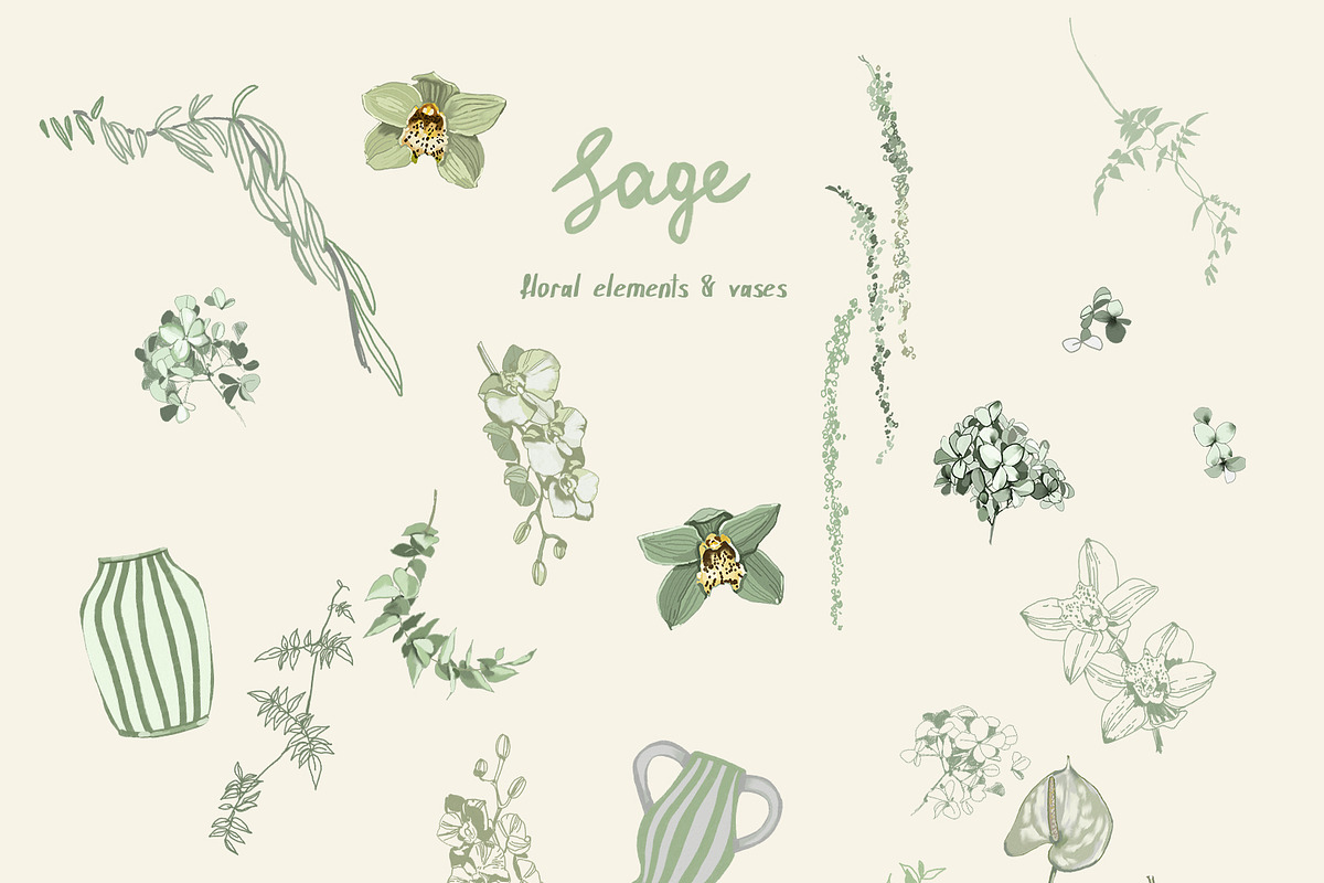 Sage Floral Illustrations, an Object Graphic by whiteheartdesign (Photo 13 of 14)