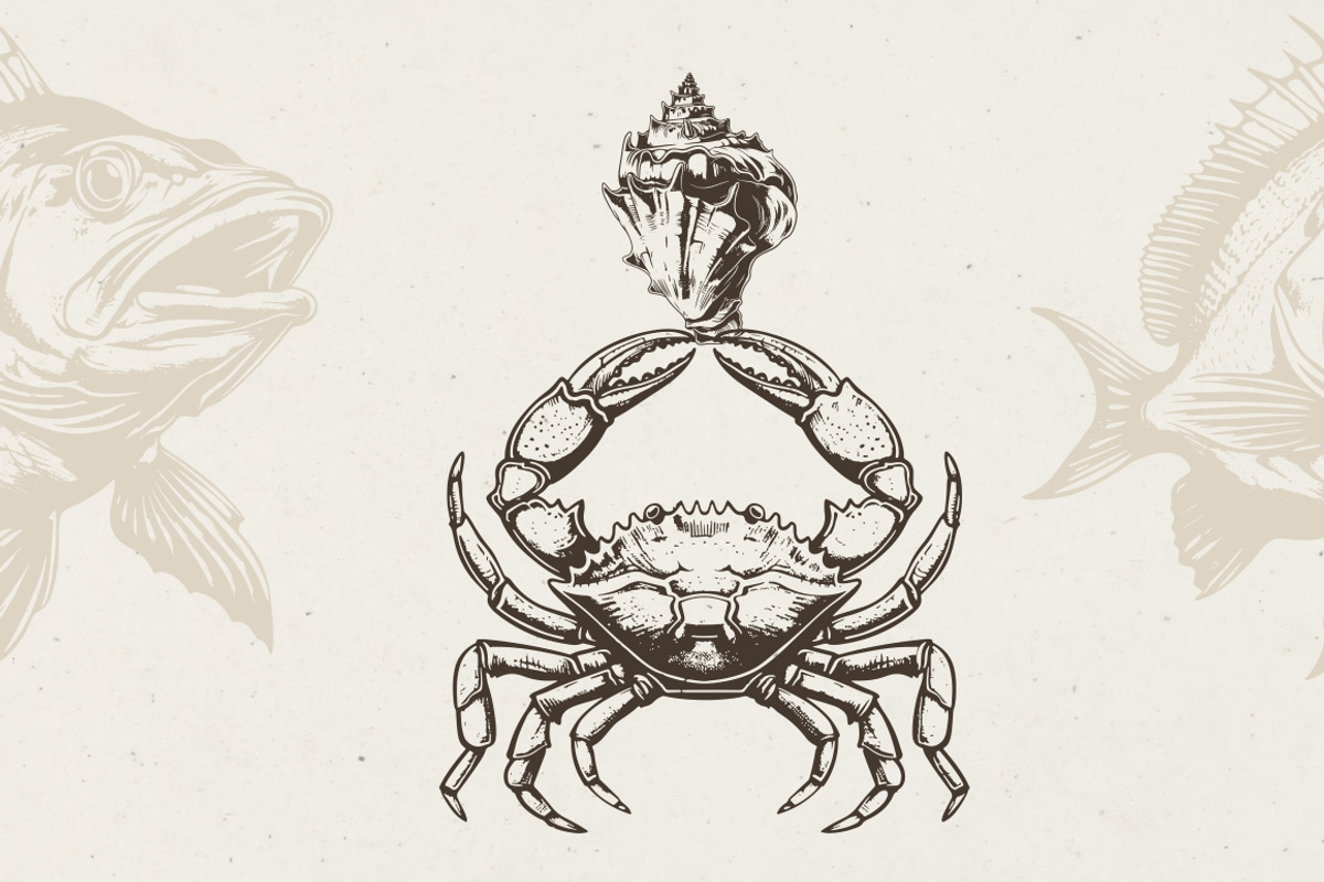 340 Sea Creatures illustrations, an Animal Illustration by Nocturnal Wolf (Photo 2 of 15)