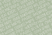 Hawkes Handmade Collection, a Sans Serif Font by Kimmy Design (Thumbnail 11 of 22)