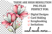 Spring Alstroemeria Flowers Clipart, an Illustration by Daily.Designs (Thumbnail 2 of 8)