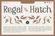 Plafisco | Inktrap Elegant Display, a Serif Font by Hole Hope Design (Thumbnail 8 of 10)