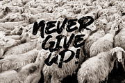 Basnow Grunge Font, a Font by chekart (Thumbnail 4 of 6)