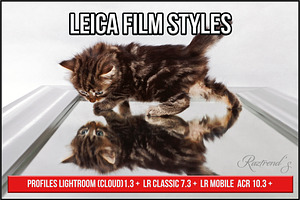 Leica Film Styles
