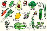 19 hand drawn vegetables + patterns, a Decorative Illustration by pixelwerk (Thumbnail 2 of 4)