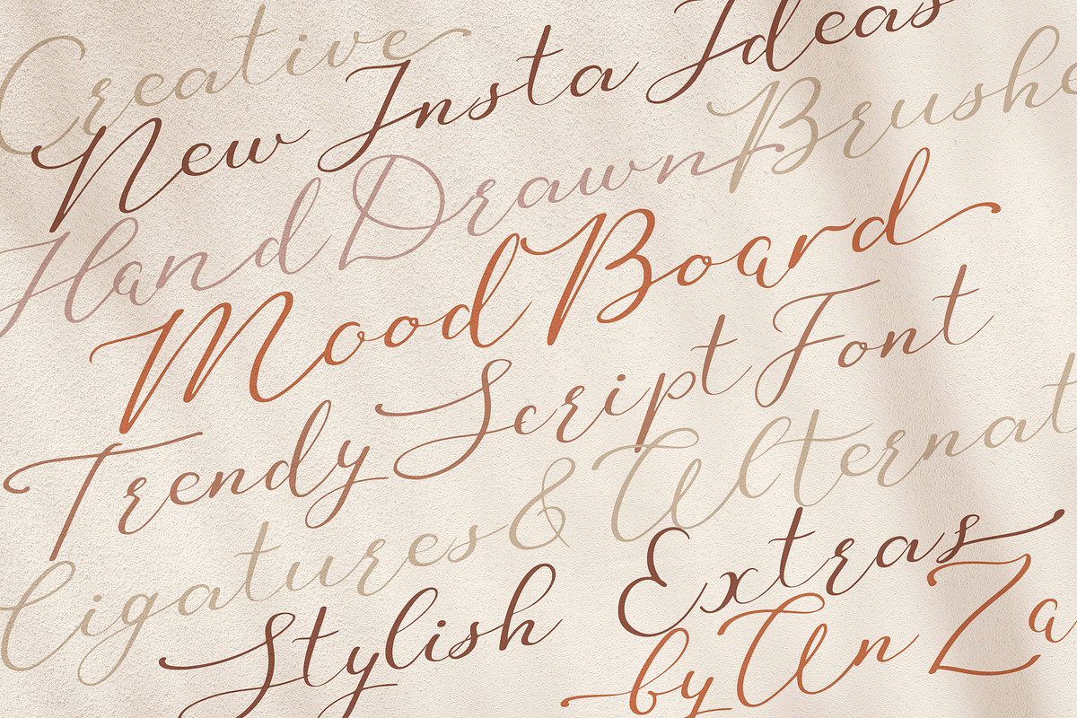 Mood Board script font, a Serif Font by Anna Zakharchenko (Photo 23 of 23)