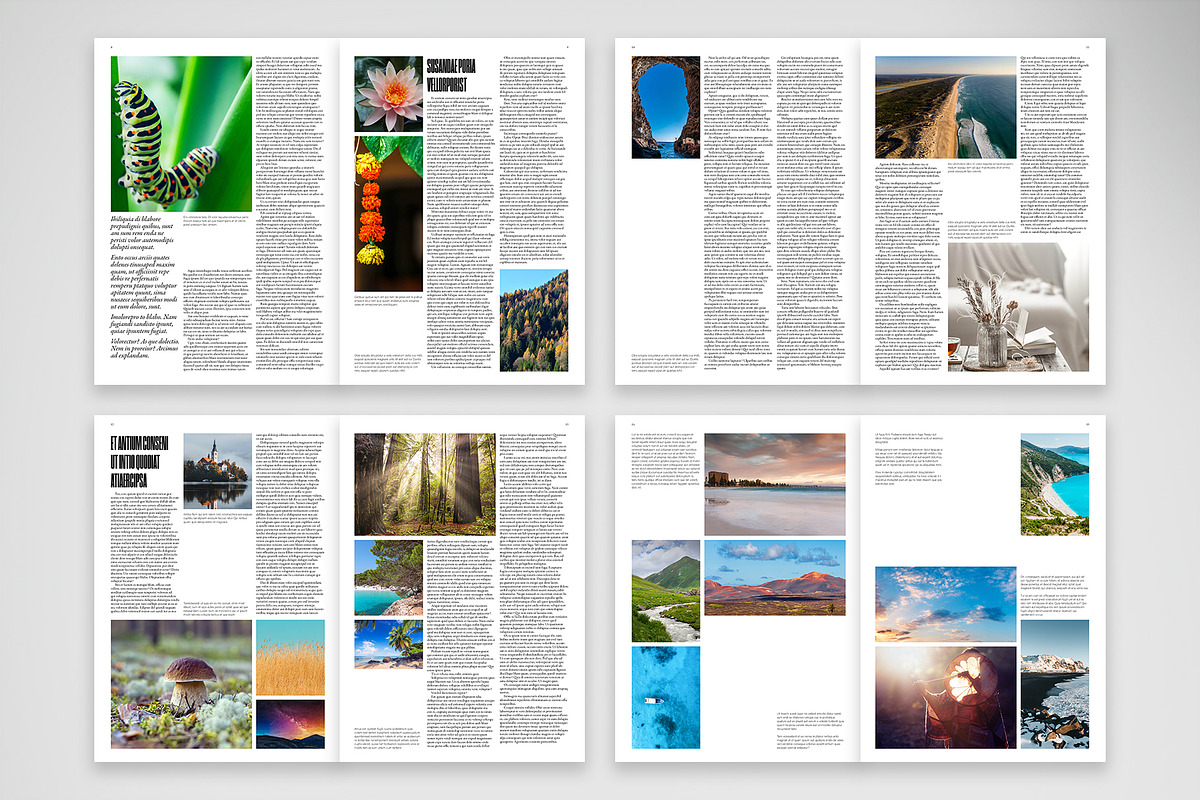 Bold Modern Newspaper preview 3