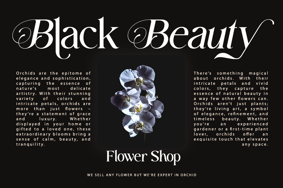 Fastelar - Luxury Branding Font, a Serif Font by Say Studio (Photo 11 of 13)
