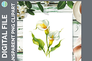 Wildflower Illustration Bundle PNG, a Decorative Illustration by Enliven Designs (Thumbnail 4 of 8)