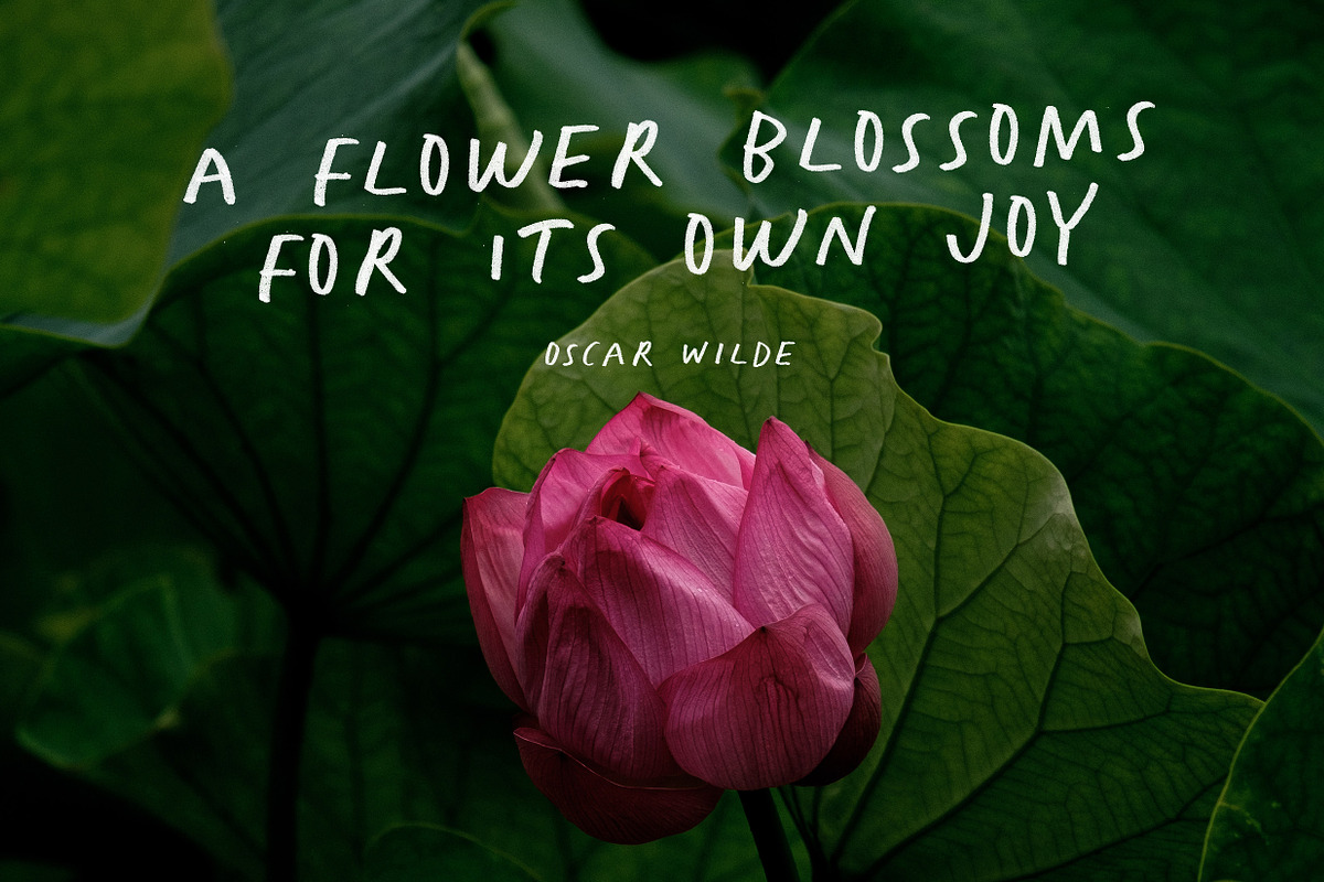 Quisas - Quirky Handwriting Fonts, a Handwritten Font by Ian Irwanwismoyo (Photo 4 of 6)