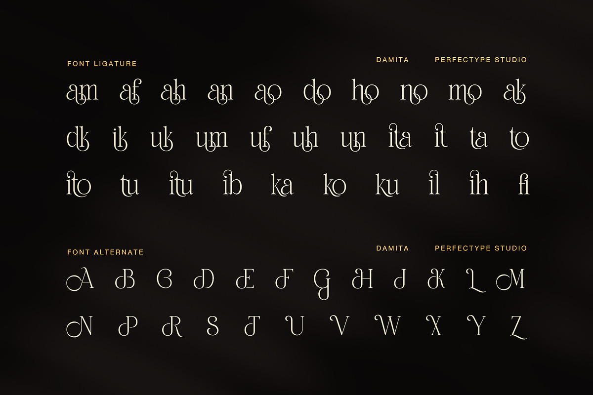 Damita Elegant Serif Display Font, a Serif Font by Perfectype (Photo 8 of 8)