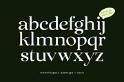 Avenza | 6 style Romantic serif, a Serif Font by InkwellTypeCo (Thumbnail 12 of 22)