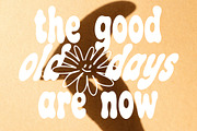 HOLIDAZE DISPLAY RETRO FONT, a Serif Font by Tropical Type (Thumbnail 5 of 11)