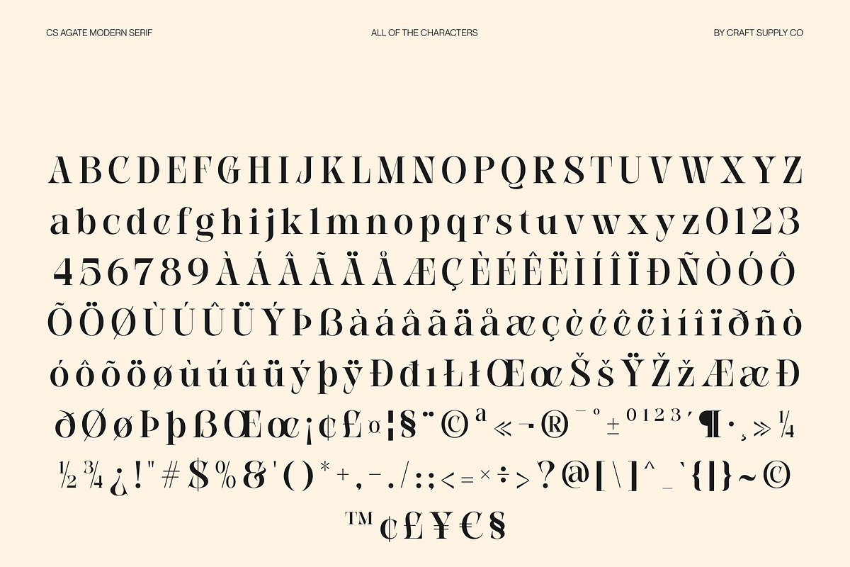 CS Agate – Modern Serif Font, a Serif Font by Craft Supply Co. (Photo 8 of 8)