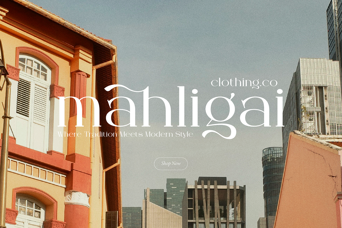 Arleon Domenk Display Elegant Serif, a Serif Font by Denustudios (Photo 4 of 15)