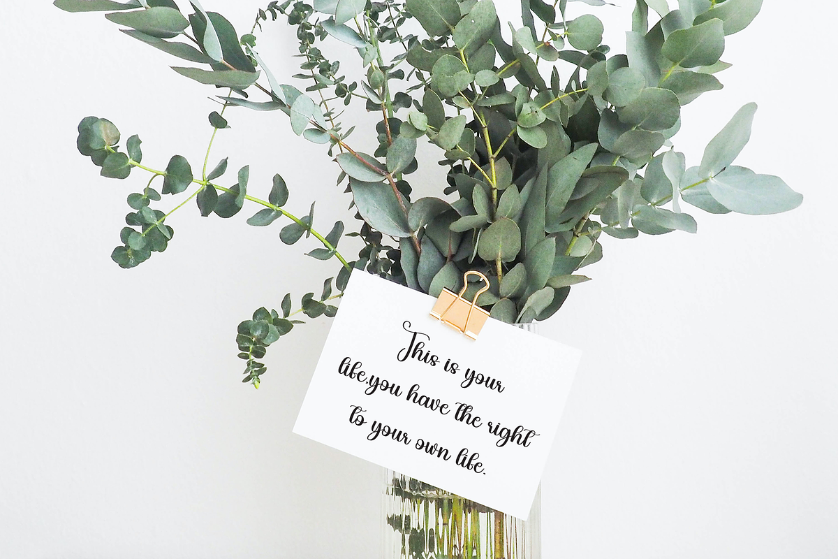 Vegetable | Script Font, a Handwritten Font by Scratchones (Photo 2 of 9)