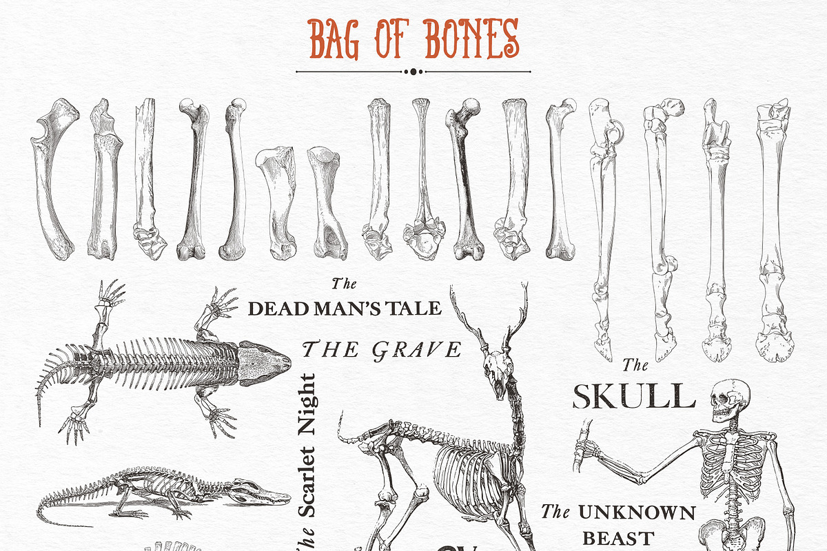 Bag of Bones | Vintage Clipart, a Seasonal Illustration by GVGraphics (Photo 8 of 13)
