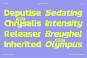 403 FEST, a Sans Serif Font by 403 Type Foundry (Thumbnail 5 of 16)