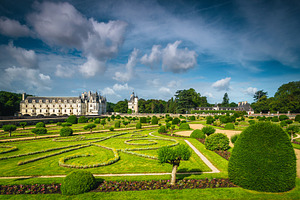 Bushes and plants in the garden, an Architecture Photo by Alpine Dreams