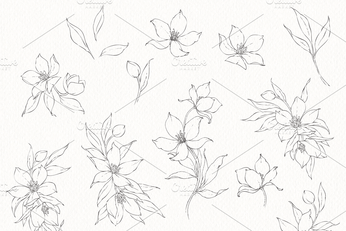 Illustrated Florals for Weddings, an Illustration by Blushed Design by Katrina (Photo 5 of 6)