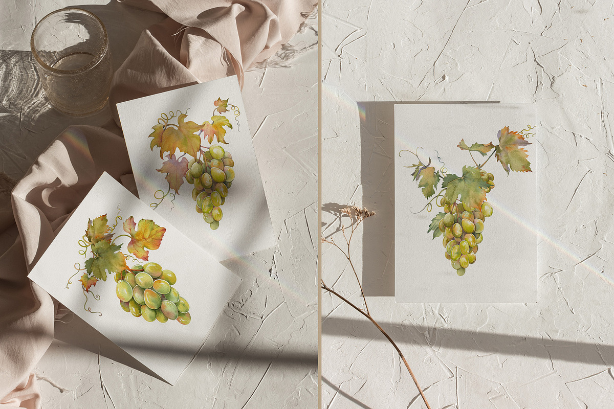 Watercolor Grapes Clipart Set, a Food Illustration by Jeanna Draw (Photo 3 of 12)