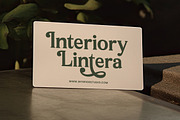 Arguys Regret Display Serif Font, a Serif Font by timelesstype.co (Thumbnail 16 of 20)