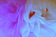 Beautiful background mesh, a Texture Graphic by Natalia Flurno (Thumbnail 1 of 4)