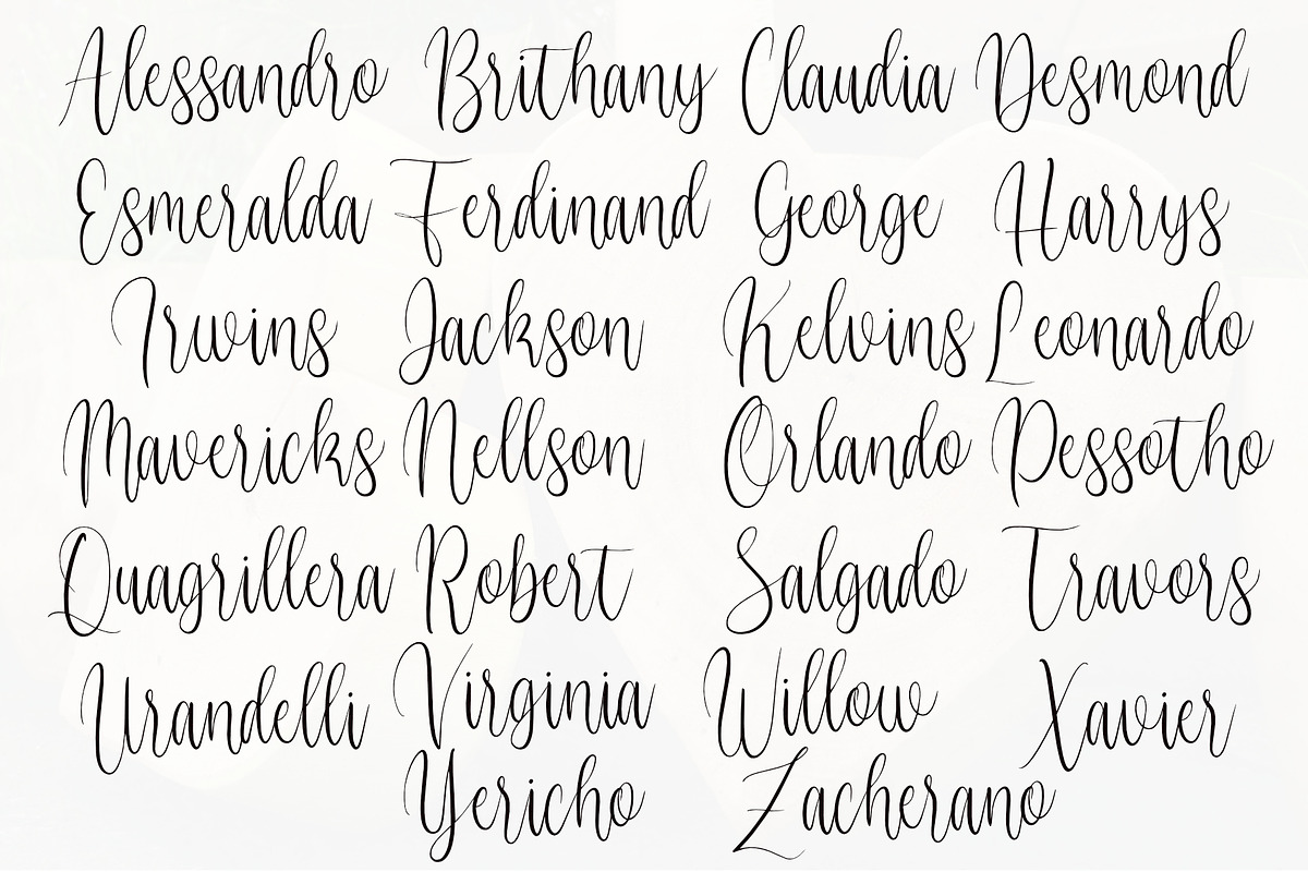 Vignette Cursive Font, a Script Font by Jackgridden (Photo 4 of 16)