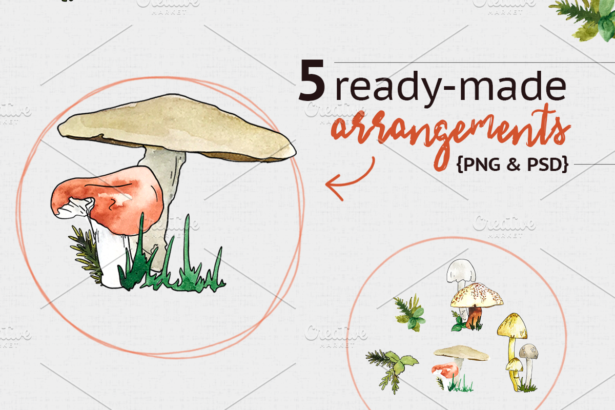 Woodland Mushroom Watercolors, an Illustration by plaidGecko (Photo 4 of 8)
