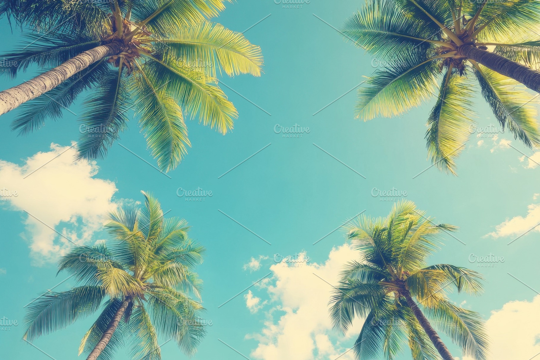Vintage tropical beach background, a Photo by Pavel_design