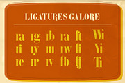 Thriftage Font + Extras, a Serif Font by Jordan Wilson (Thumbnail 8 of 9)
