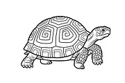 Turtle Line Art Illustration Bundle, an Illustration by Creativeshirt (Thumbnail 8 of 48)