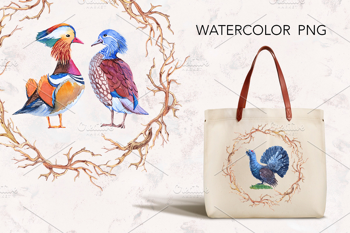 Watercolor forest birds., an Illustration by lilisavelieva (Photo 3 of 5)