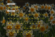 Rastiya Daffodil Handwritten Script, a Script Font by gracetype_studio (Thumbnail 11 of 11)