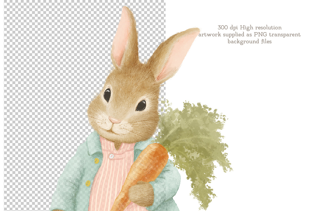 Easter clipart set, an Animal Illustration by AlenaVlasko stock Market (Photo 2 of 6)