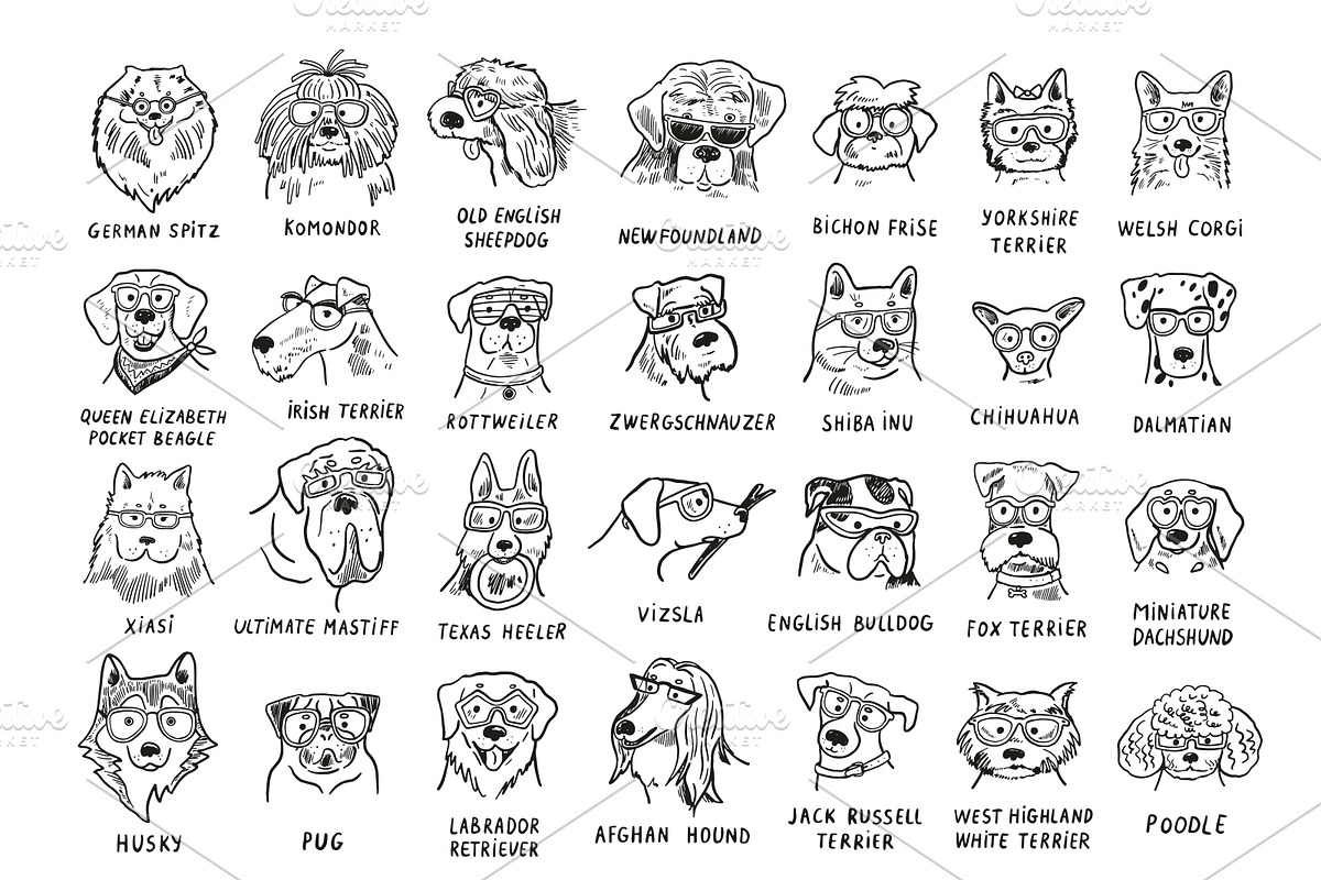 Dogs with Glasses, an Animal Illustration by GooseFrol (Photo 4 of 17)