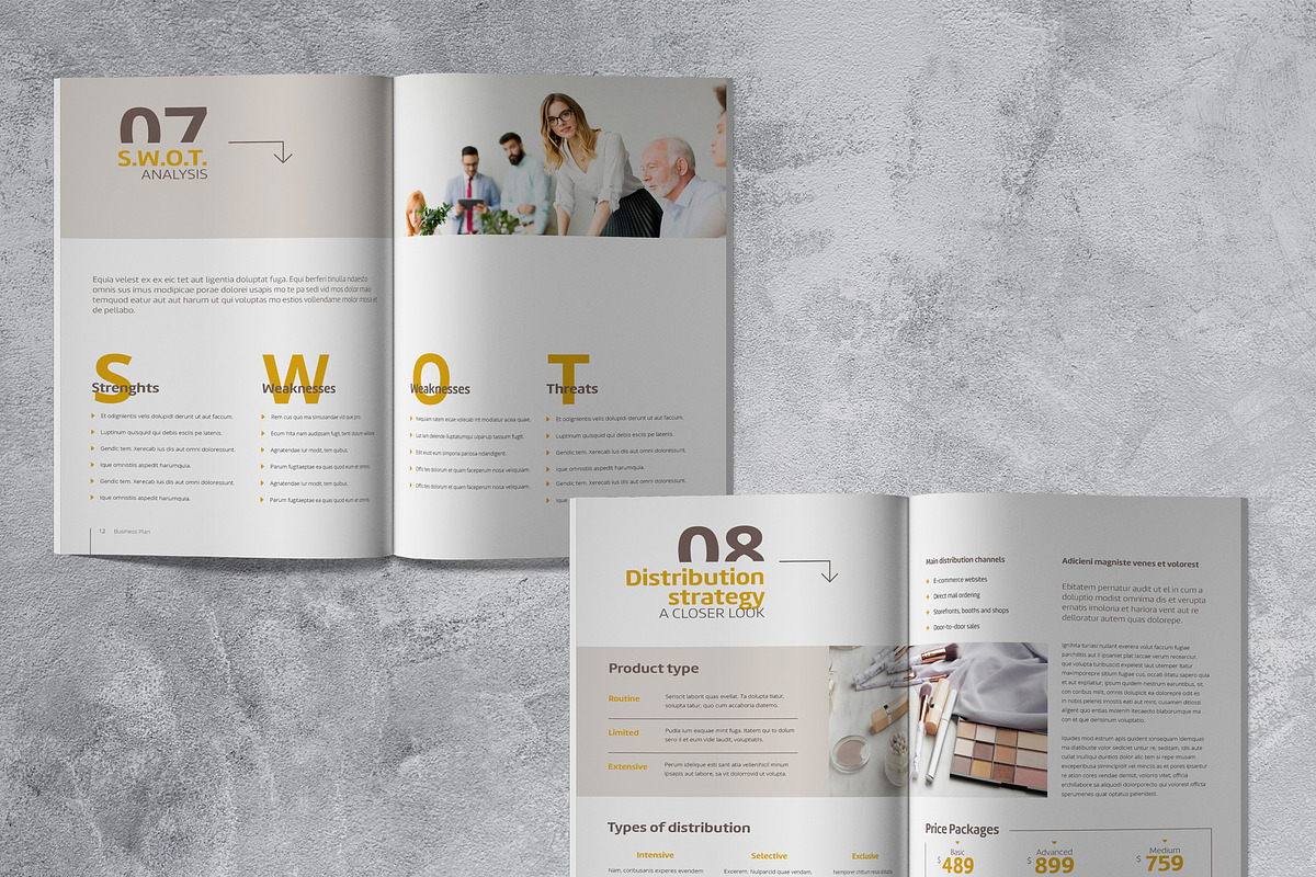 Marketing Plan Template, a Brochure Template by Sabin (Photo 5 of 8)