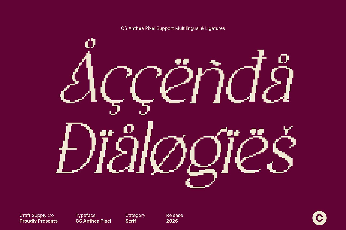 CS Anthea Pixel, a Serif Font by Craft Supply Co. (Photo 7 of 8)
