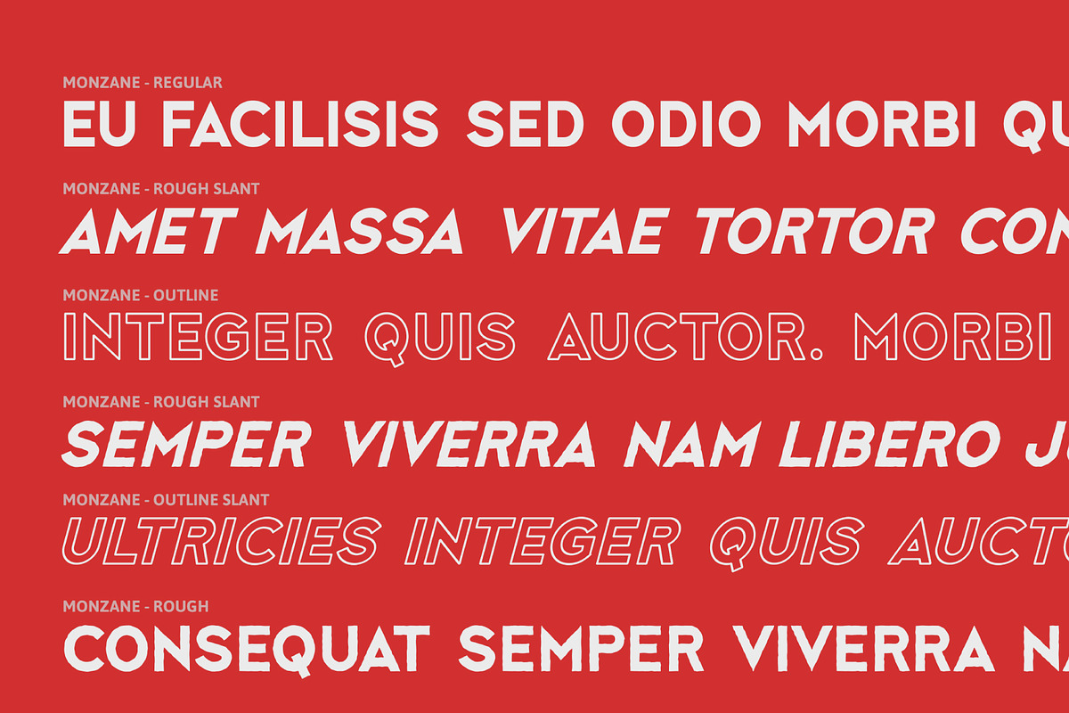 Monzane - Modern Bold Sans, a Sans Serif Font by Salamahtype (Photo 6 of 9)
