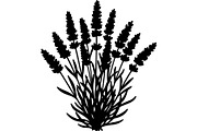 Lavender Flower Silhouette, an Object Graphic by Designer_Momina (Thumbnail 14 of 20)