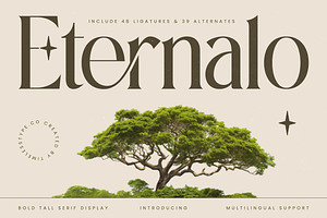 Eternalo Bold Tall Serif Display